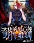 大佬的黑心莲野性难驯