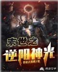 末世之逆阳神光
